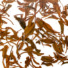 Zhongguo Hong (China Red) wet tea leaves floating in clear water.