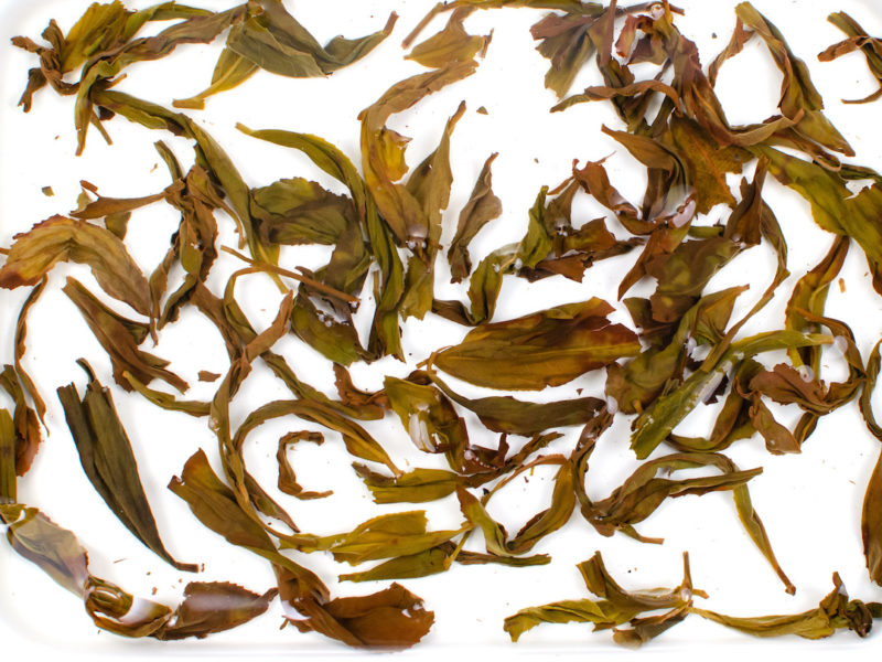 Qi Dan Maocha tea leaves floating in clear water.