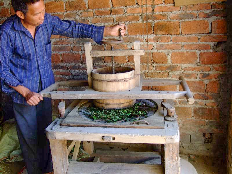 A man standing next to a wooden contraption using both hands to operate it. Tea leaves are caught in the grooves of it.