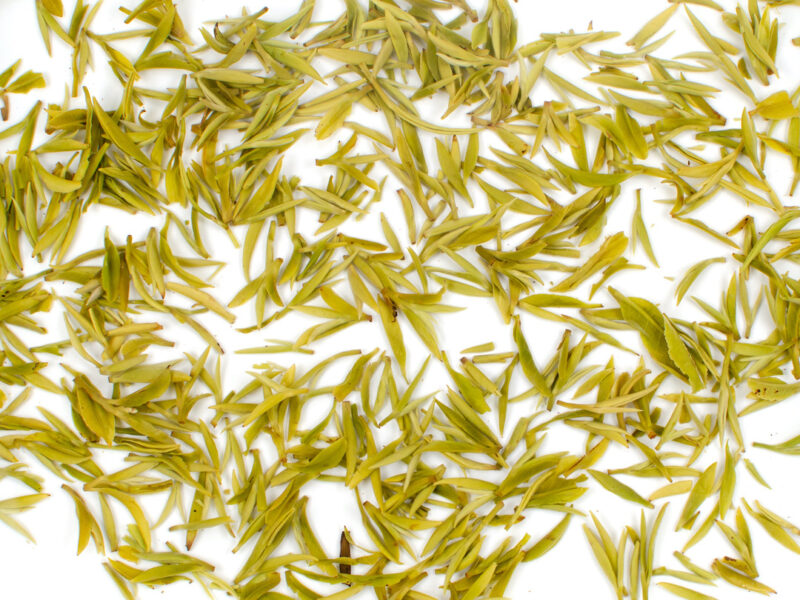 Lao Cha Yuan Ganlu (Old Garden Sweet Dew) green tea leaves floating in clear water.