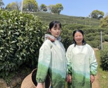 Two women in white and green ponchos stand in a tea field.