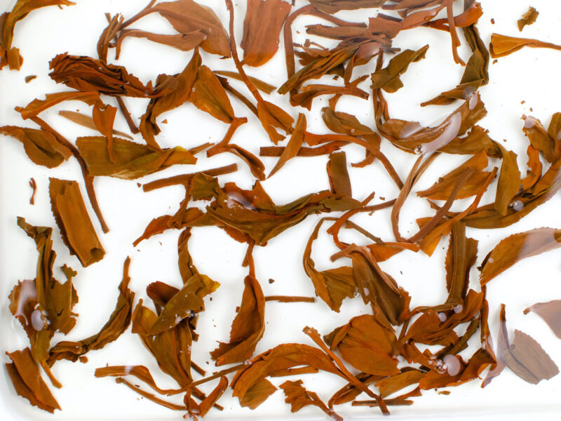 Naka Sun-Dried black tea leaves floating in clear water.
