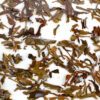 Fenghuang Dan Cong (Sky Feather) wulong tea leaves floating in clear water.
