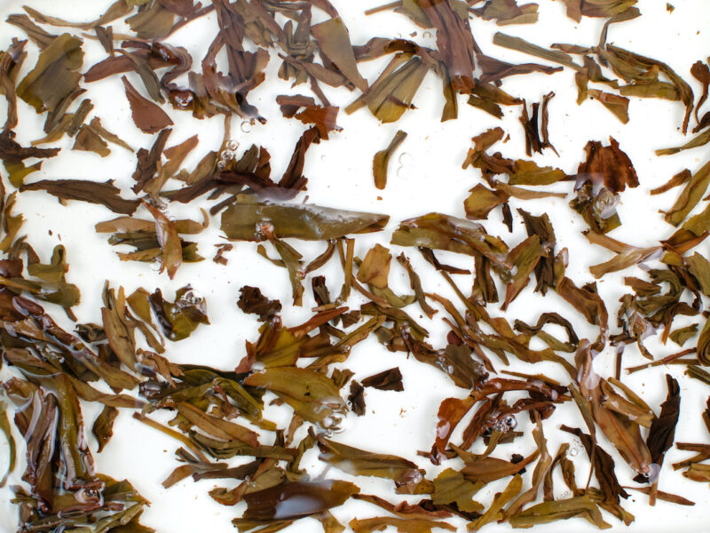 Fenghuang Dan Cong (Sky Feather) wulong tea leaves floating in clear water.