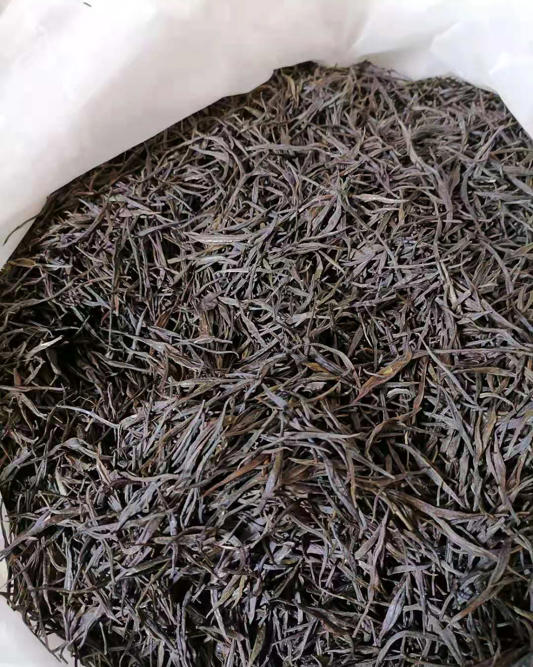 Looking into a white bag full of dark purple-black dry Zijuan sheng puer maocha tea buds.