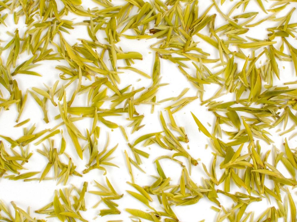 First Pluck Sweet Dew green tea leaves in clear water.