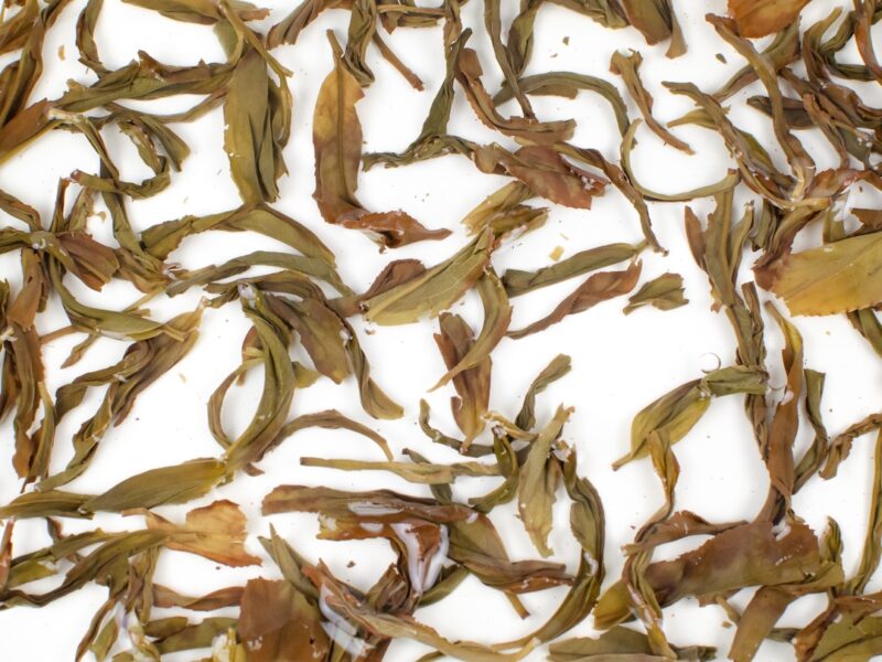 Rehydrated Ao Fu Hou (Beyond the Road) Dan Cong wulong tea leaves floating in clear water.