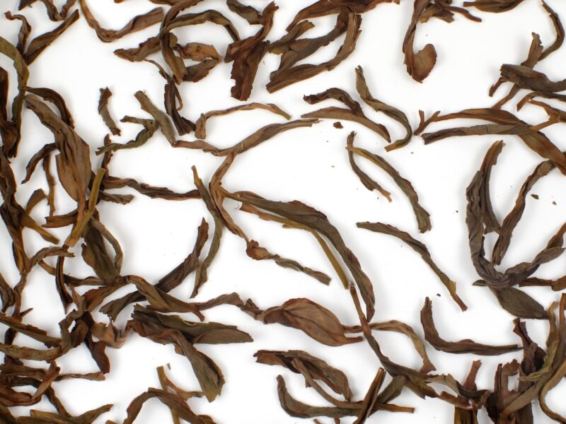 Rehydrated Wudong Ba Xian (Wudong Eight Immortals) Dan Cong wulong tea leaves floating in clear water.