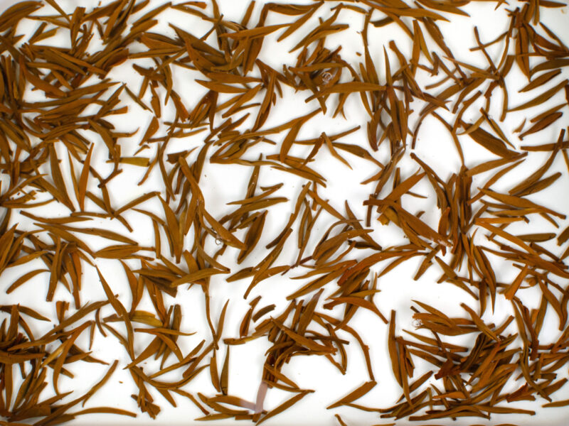 Jin Jun Mei (Champion Steed) Tongmu black tea leaves floating in clear water.