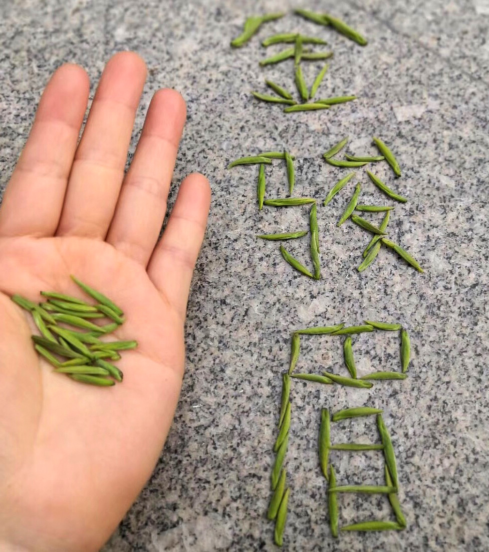 The characters for Jin Jun Mei spelled out in fresh tea buds of Tongmu tea on a granite surface.