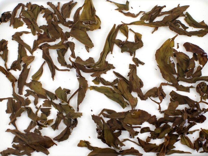 Tongmu Rougui (Tongmu Cassia Bark) tea leaves floating in clear water.