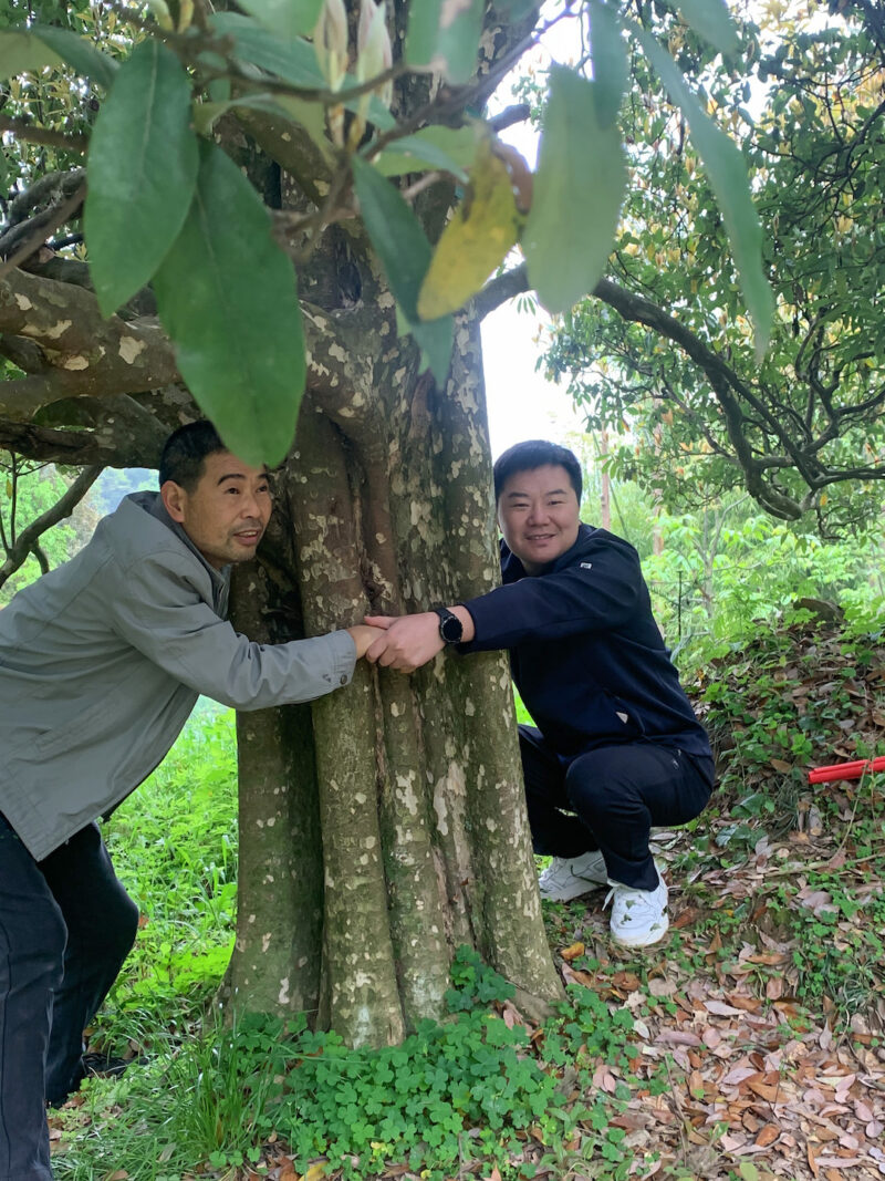 Two people wrapping their arms around the large trunk at the base of a tall eagle tree.