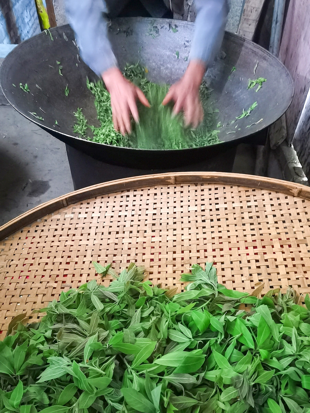 A person's hands frying withered eagle tree leaves in a wok, next to a large bamboo tray full of more leaves to be fried.