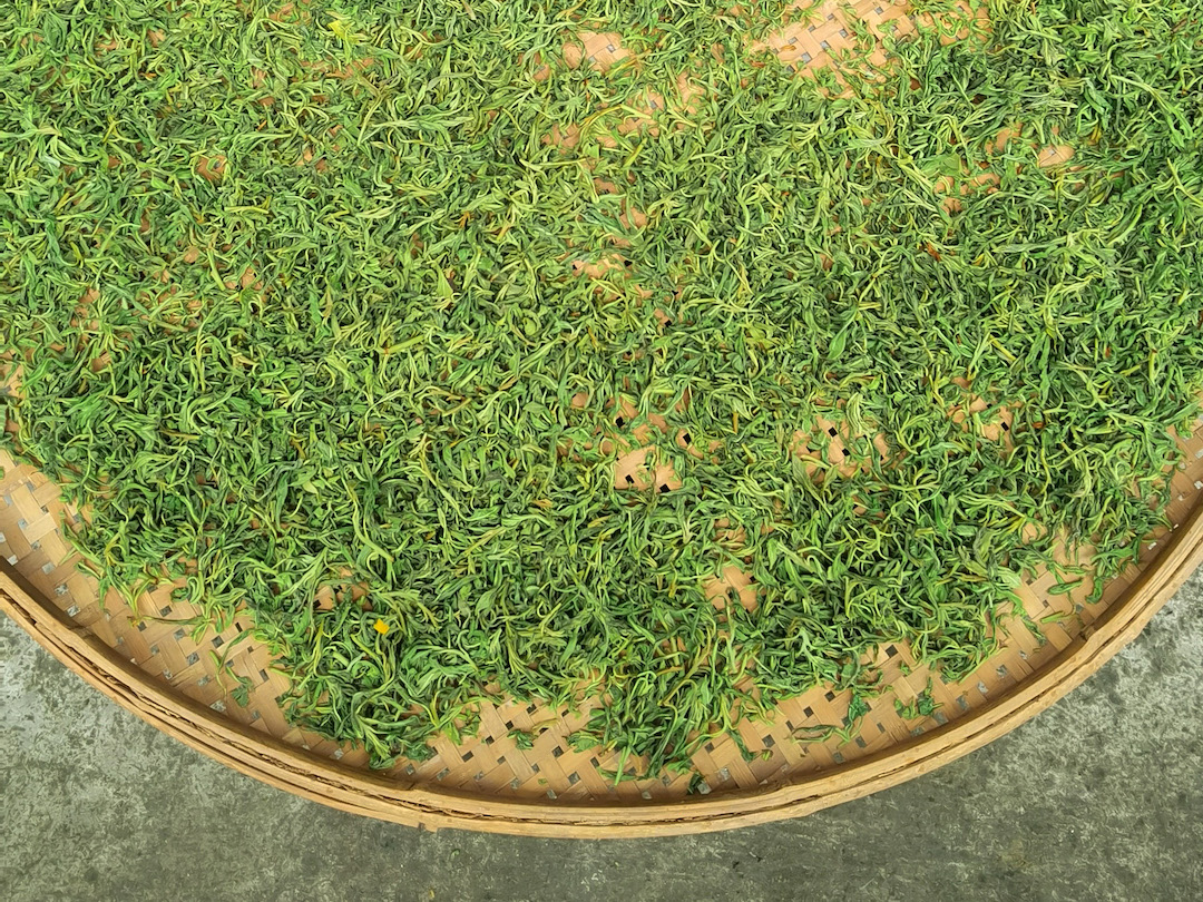 Withered eagle tree tea leaves on a bamboo tray.