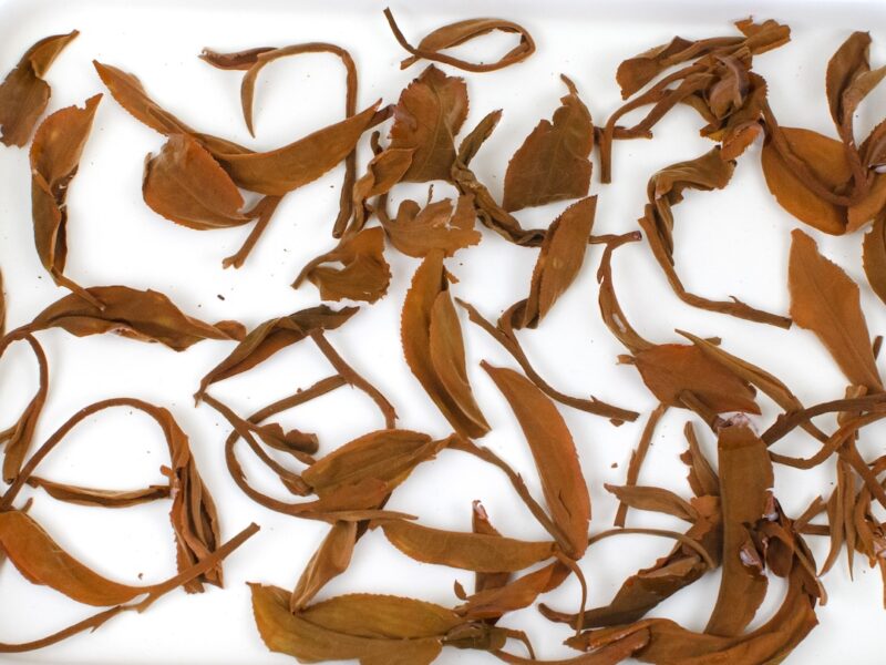 Baotang Pond Sun-Dried black tea leaves floating in clear water.