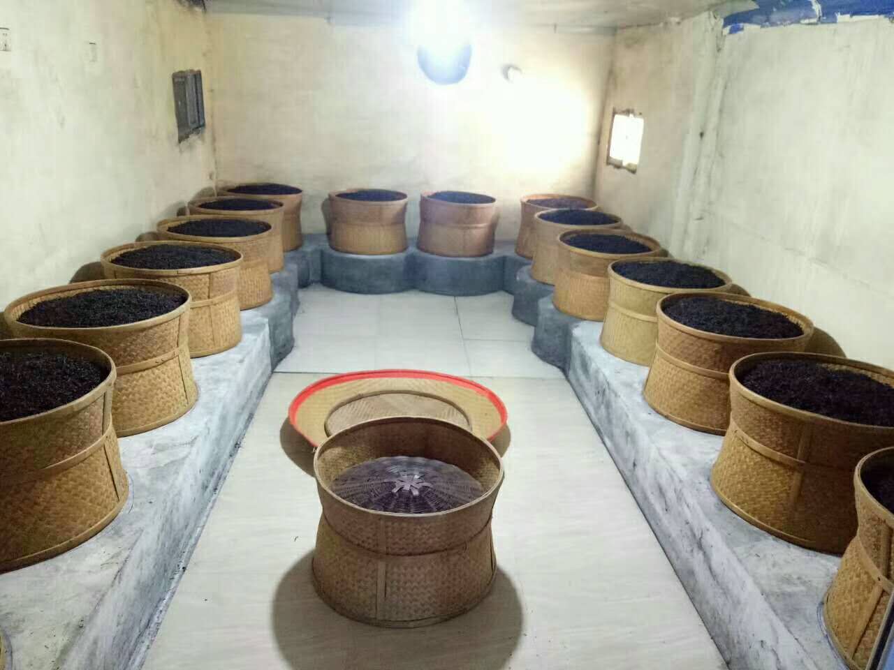 A small square concrete room with raised benches on each side holding a dozen large baskets of roasting rock wulong tea and one empty basket and tray for mixing.