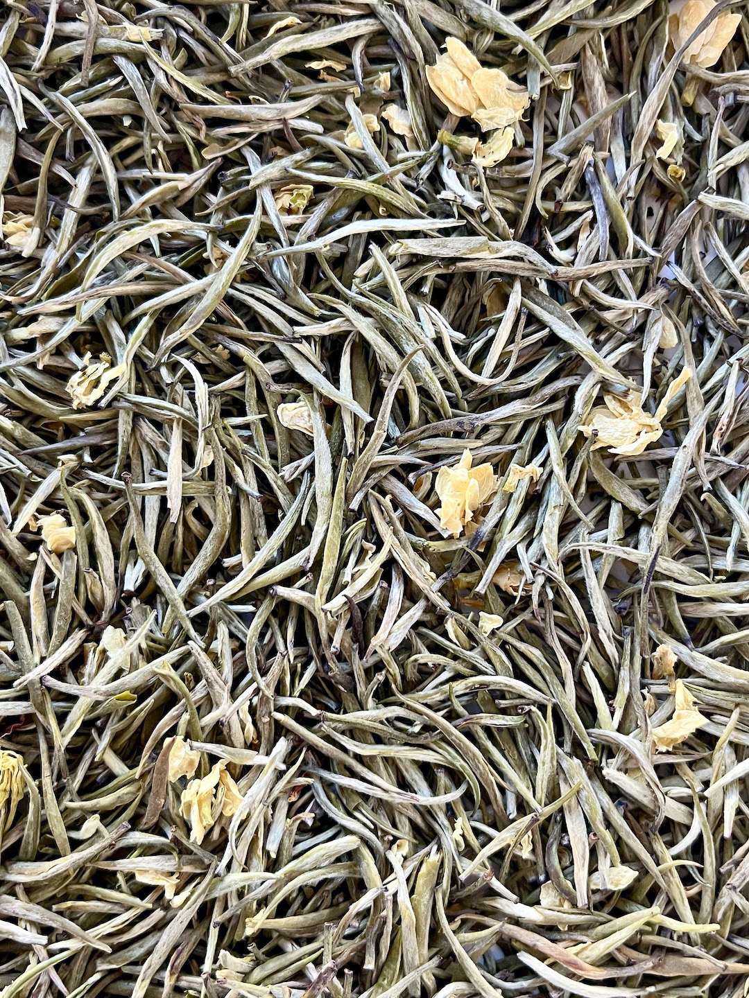 Close-up of the dry jasmine tea Jasmine Needle's long tea buds with a few dry jasmine flowers scattered through.