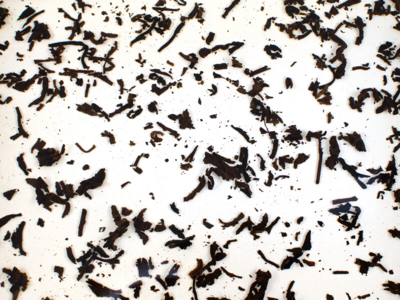 520 Brick 2008 shu puer tea leaves in clear water.