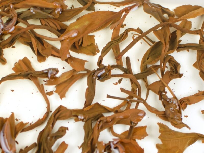 Yiwu Sun-Dried Yunnan black tea leaves in clear water.