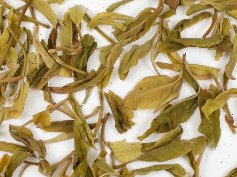 Yiwu Guafengzhai sheng puer tea leaves in clear water.