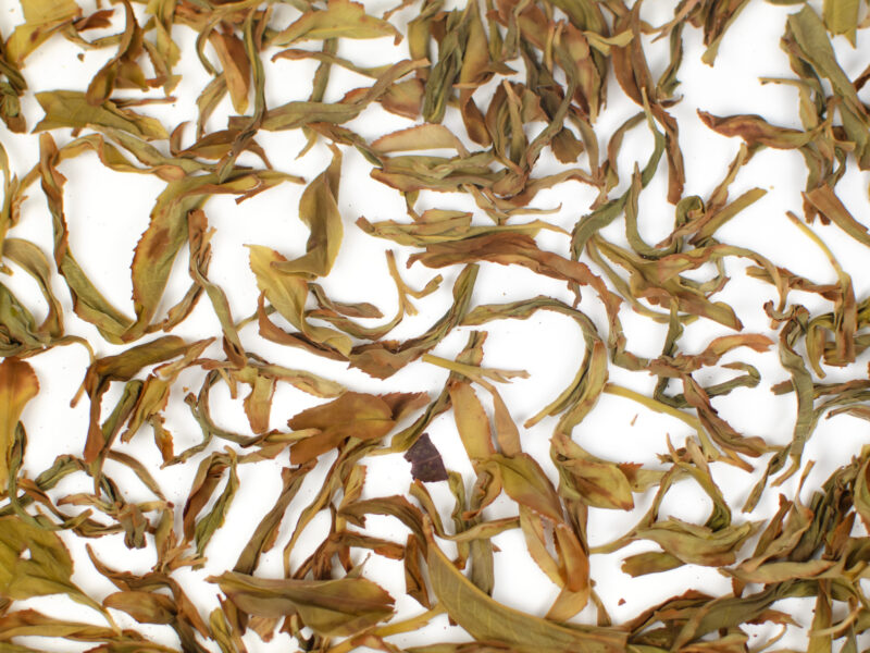 Xing Ren Xiang (Almond Blossom) Dan Cong wulong tea leaves in clear water.