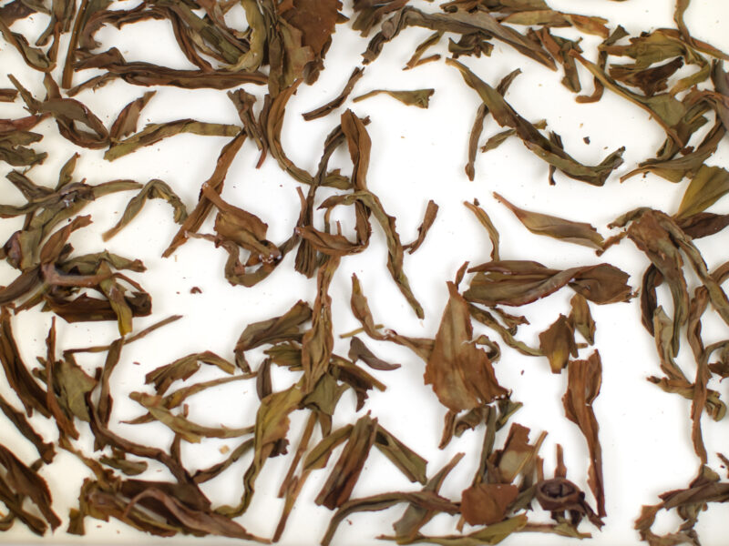 Mi Lan Xiang (Honey Orchid) Dan Cong wulong tea leaves in clear water.