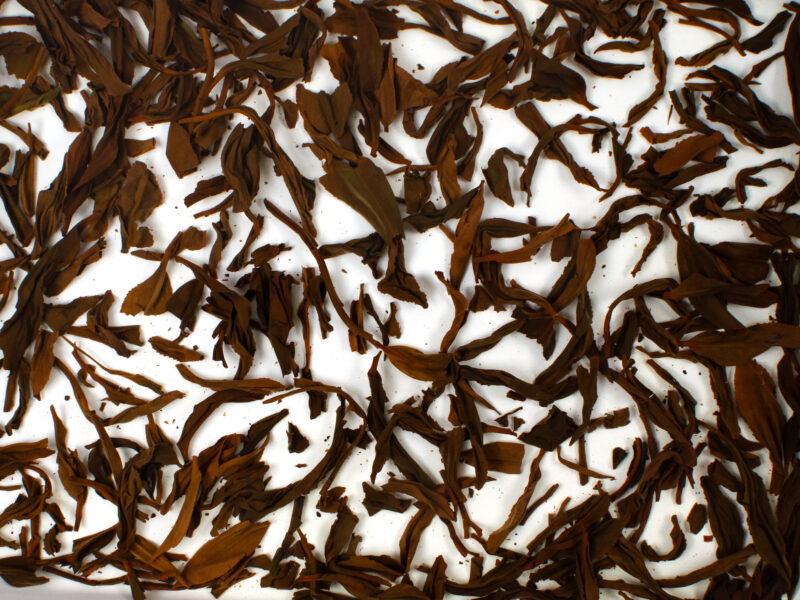 Feizi Xiao (Concubine's Smile) Wuyi black tea leaves floating in clear water.