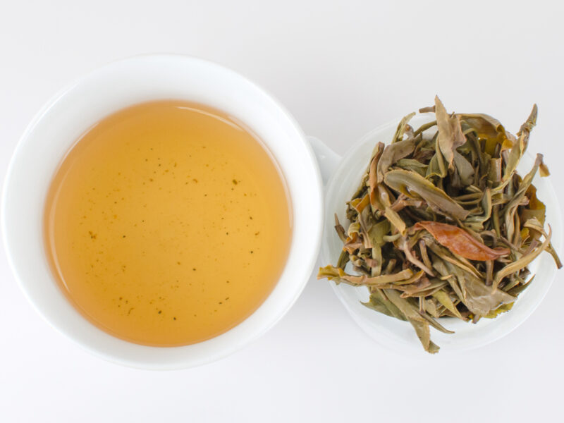 Cupped infusion of Youle Gaoshu (Youle Tall Tree) sheng puer tea and strained leaves.