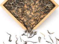 Youle Gaoshu (Youle Tall Tree) sheng puer tea dry leaves.