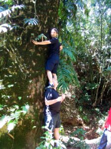 one man standing on the shoulders of another man next to a massive tea tree