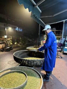 A man standing over large baskets of tea leaves