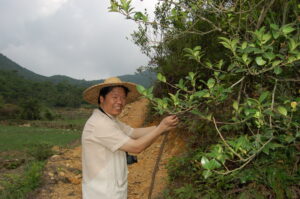 A man leading a hike up Wudong Mountain. 