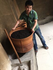 a young man picking up a large basket of tea leaves during the wulong roasting process.