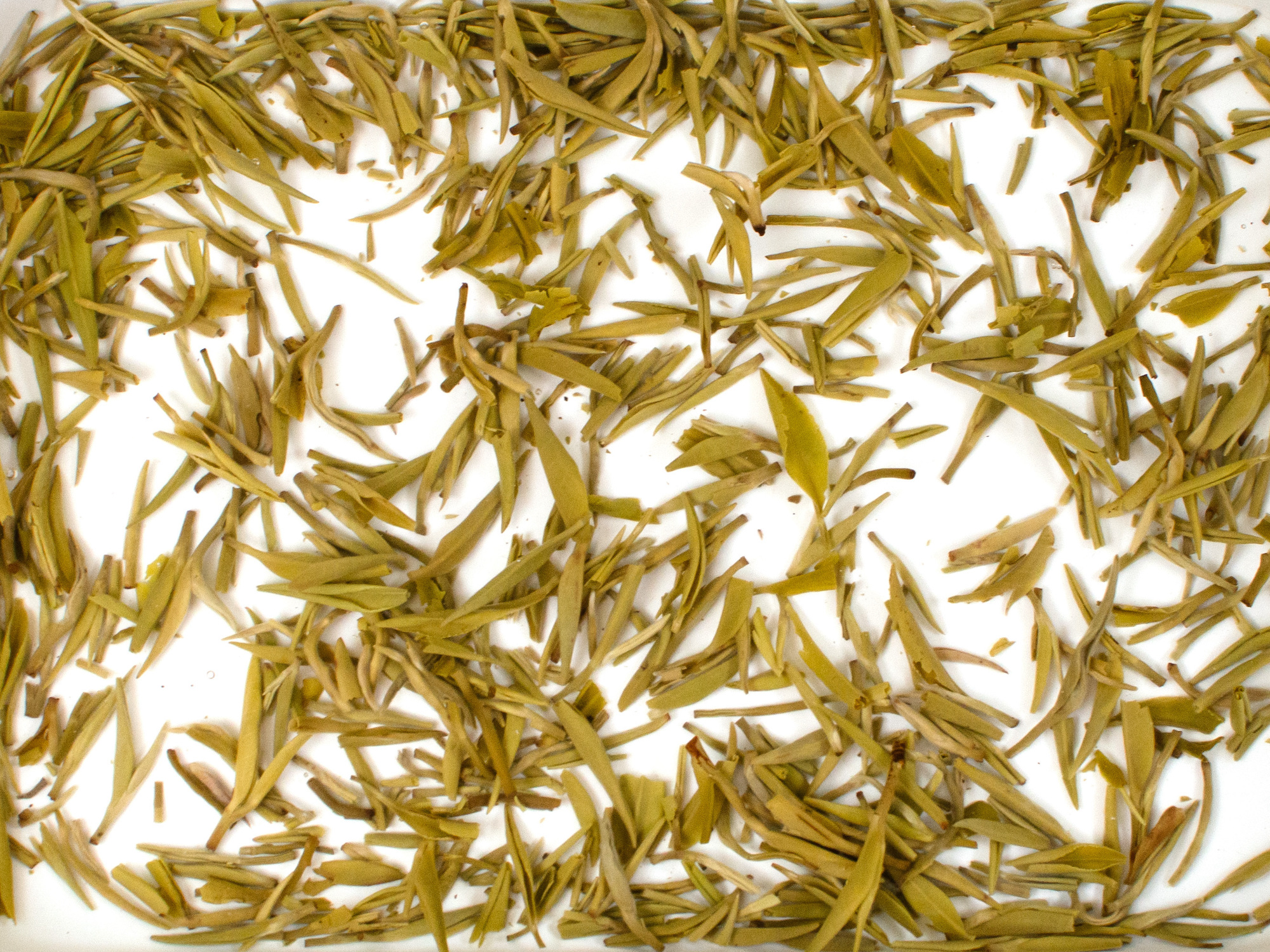 Moli Fu Hua (High Summer Jasmine) scented green tea leaves floating in clear water.