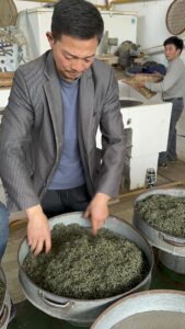 a man standing over a pile of green tea leaves kneading them by hand.