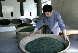 a man standing over a bamboo basket filled with tea leaves.